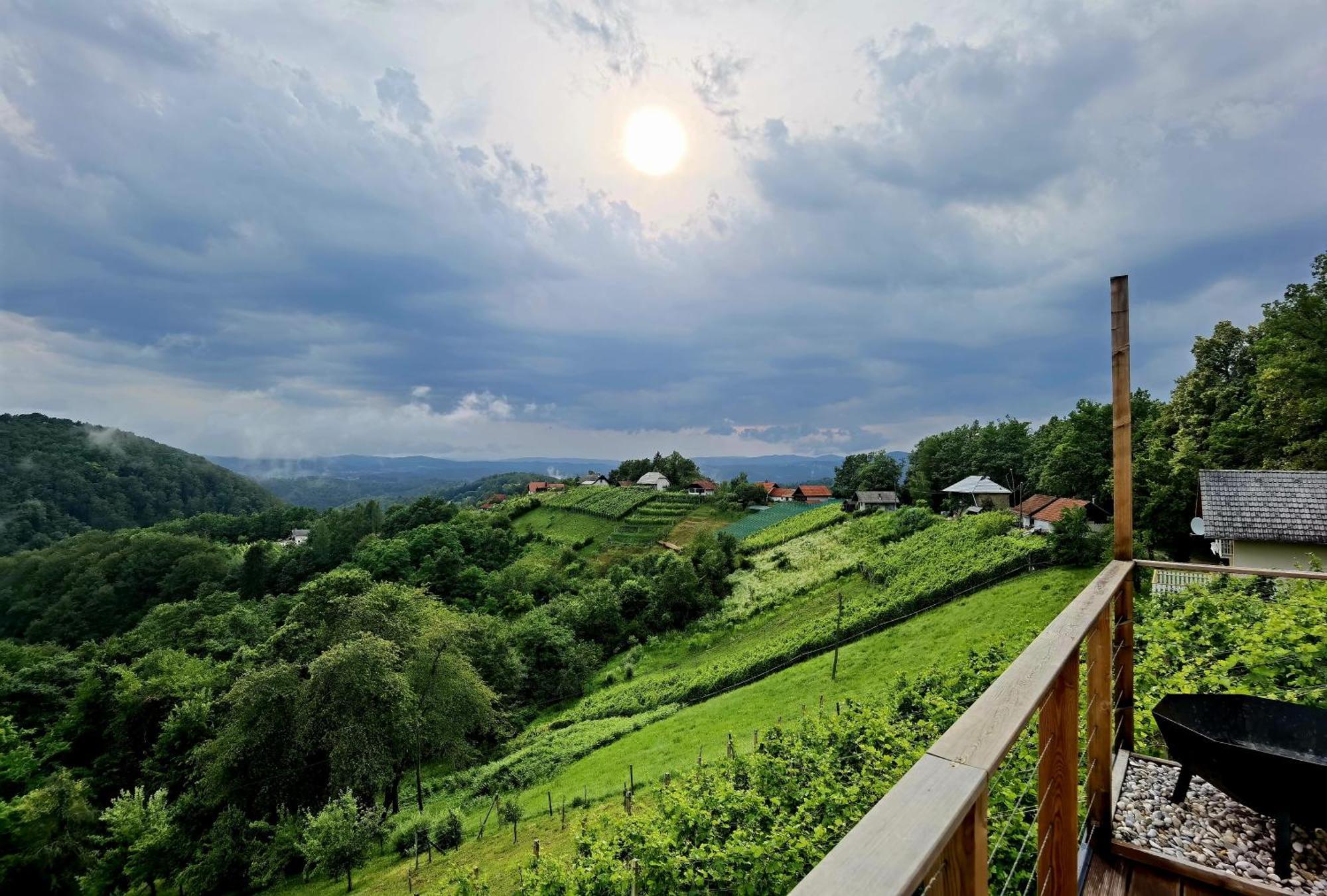 Vineyard Cottage Soncni Gric Trebnje Exterior photo