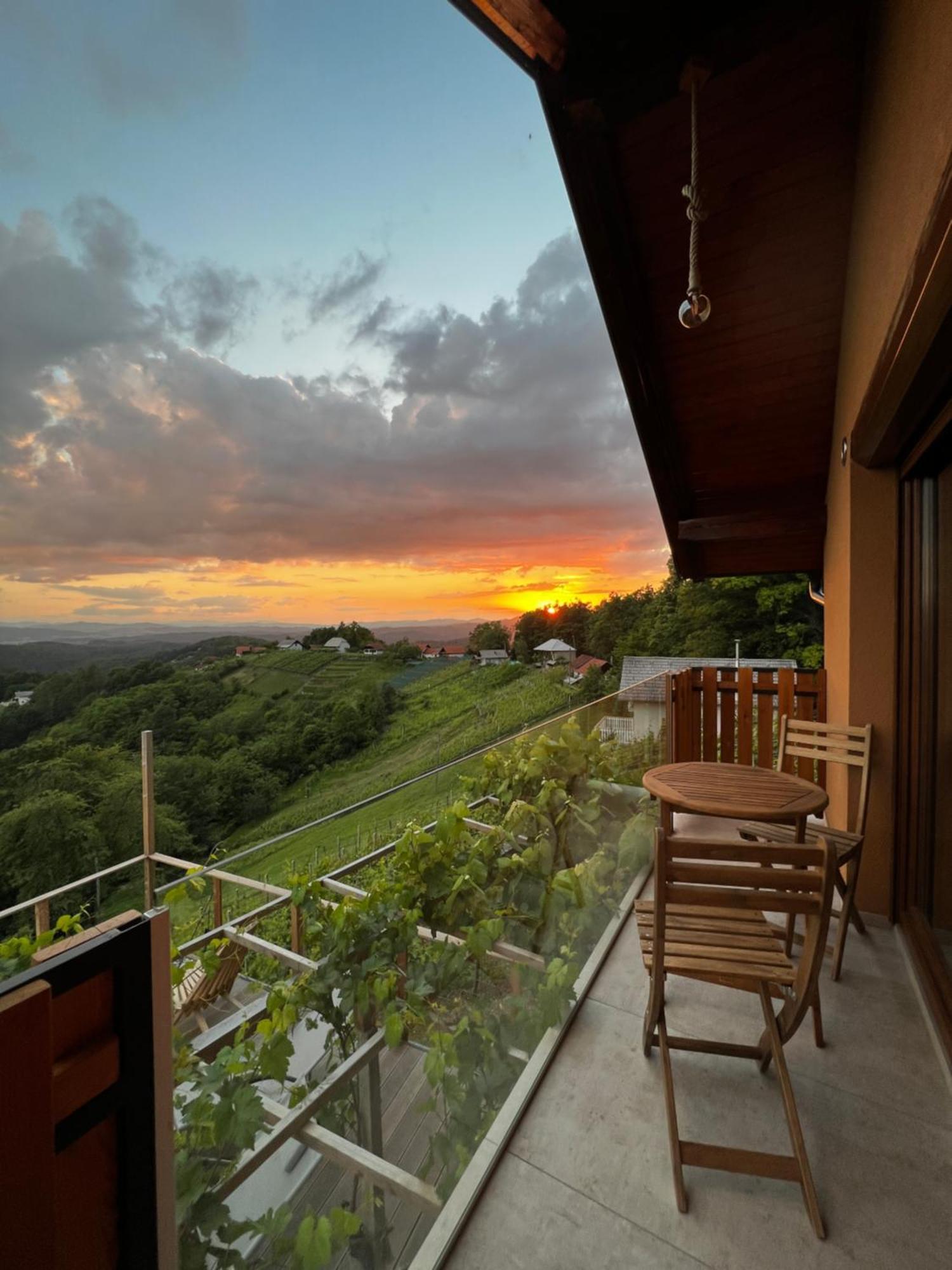 Vineyard Cottage Soncni Gric Trebnje Exterior photo
