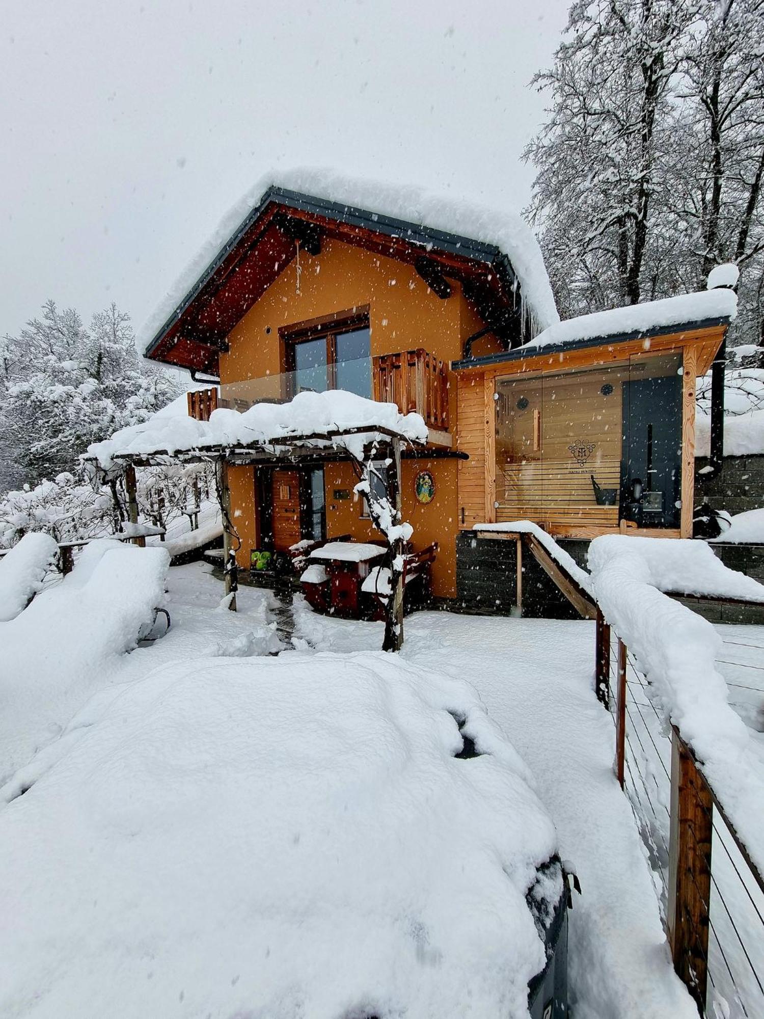 Vineyard Cottage Soncni Gric Trebnje Exterior photo